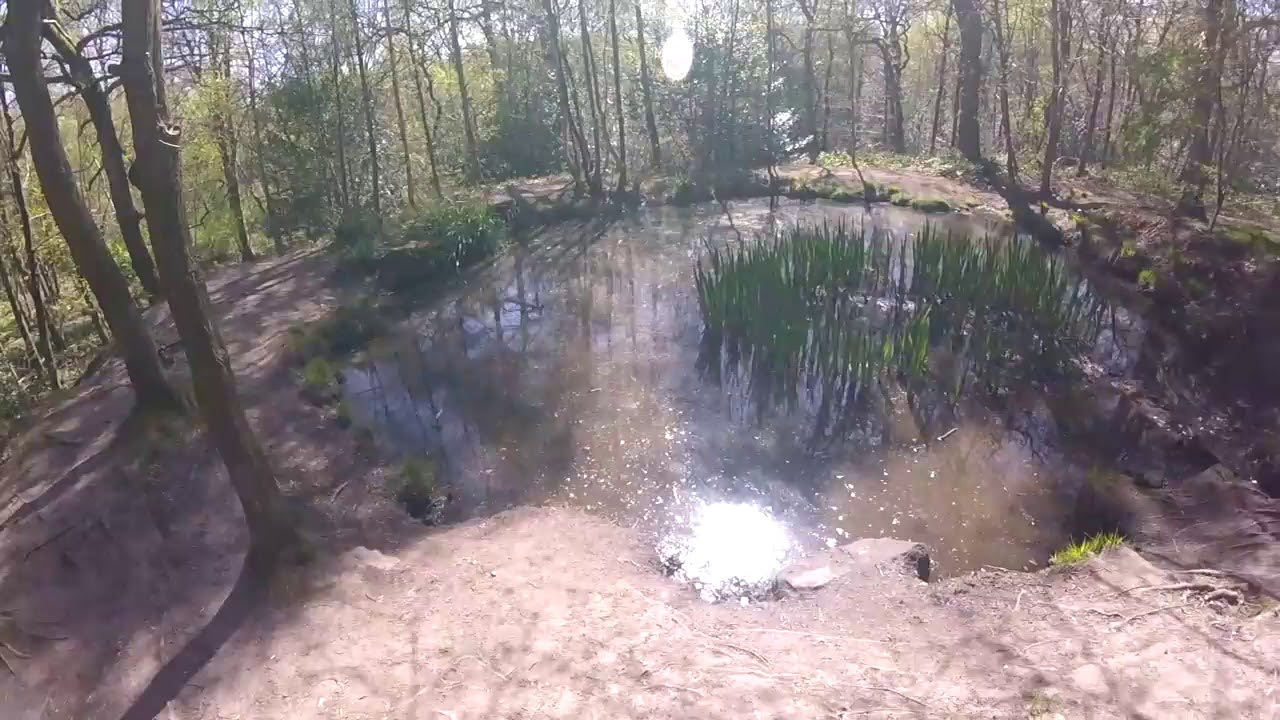 Adel Woods