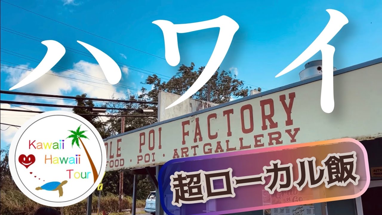ハワイでこれ食べるの!?地元民しか行かない超ローカル飯を12時間で回った結果…ガイド付き、プライベートどこでもツアー