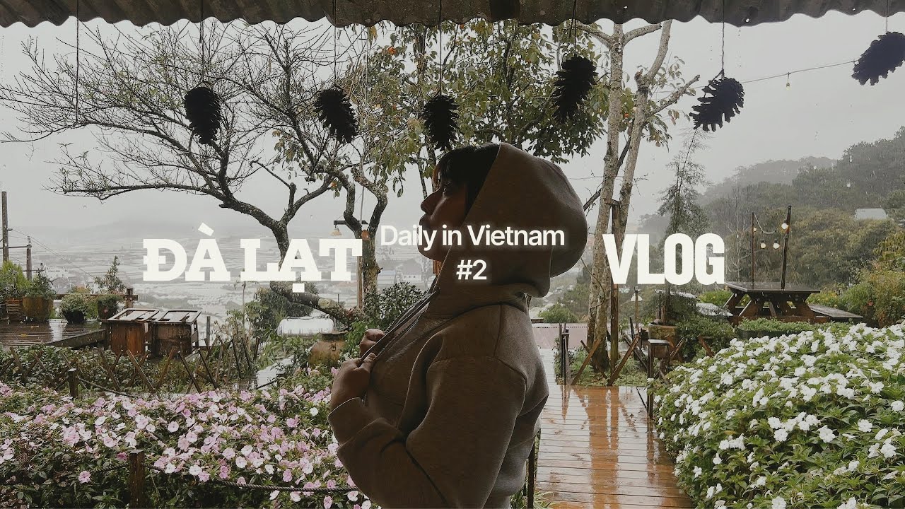 Đà lạt ...chuyến đi gấp gáp 2025|【Daily in Vietnam #2】