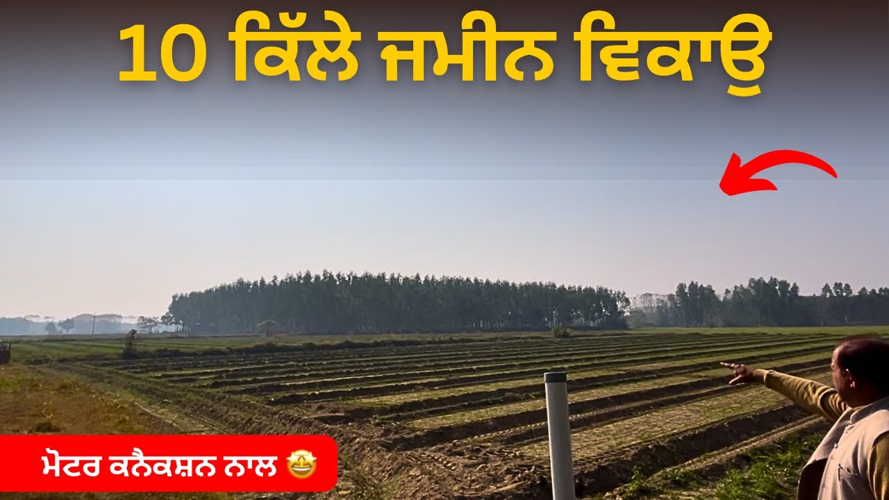 ਮੋਟਰ ਕਨੈਕਸ਼ਨ ਨਾਲ, 10 ਕਿੱਲੇ ਵਿਕਾਉ Hoshiarpur🤩 land for sale in Punjabvideo: 252