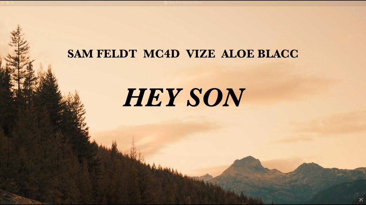 Sam Feldt, MC4D, VIZE, Aloe Blacc - Hey Son (MC4D Visualizer)