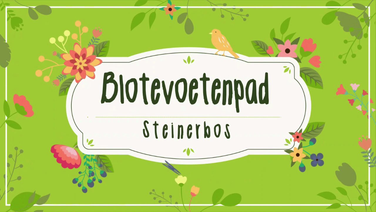Steinerbos Belevenispark - Blotevoetenpad