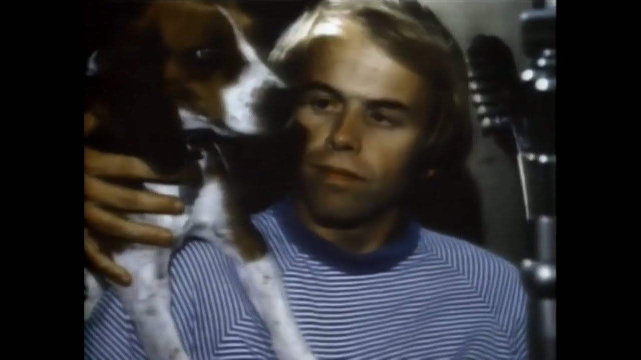 The Beach Boys - Time To Get Alone