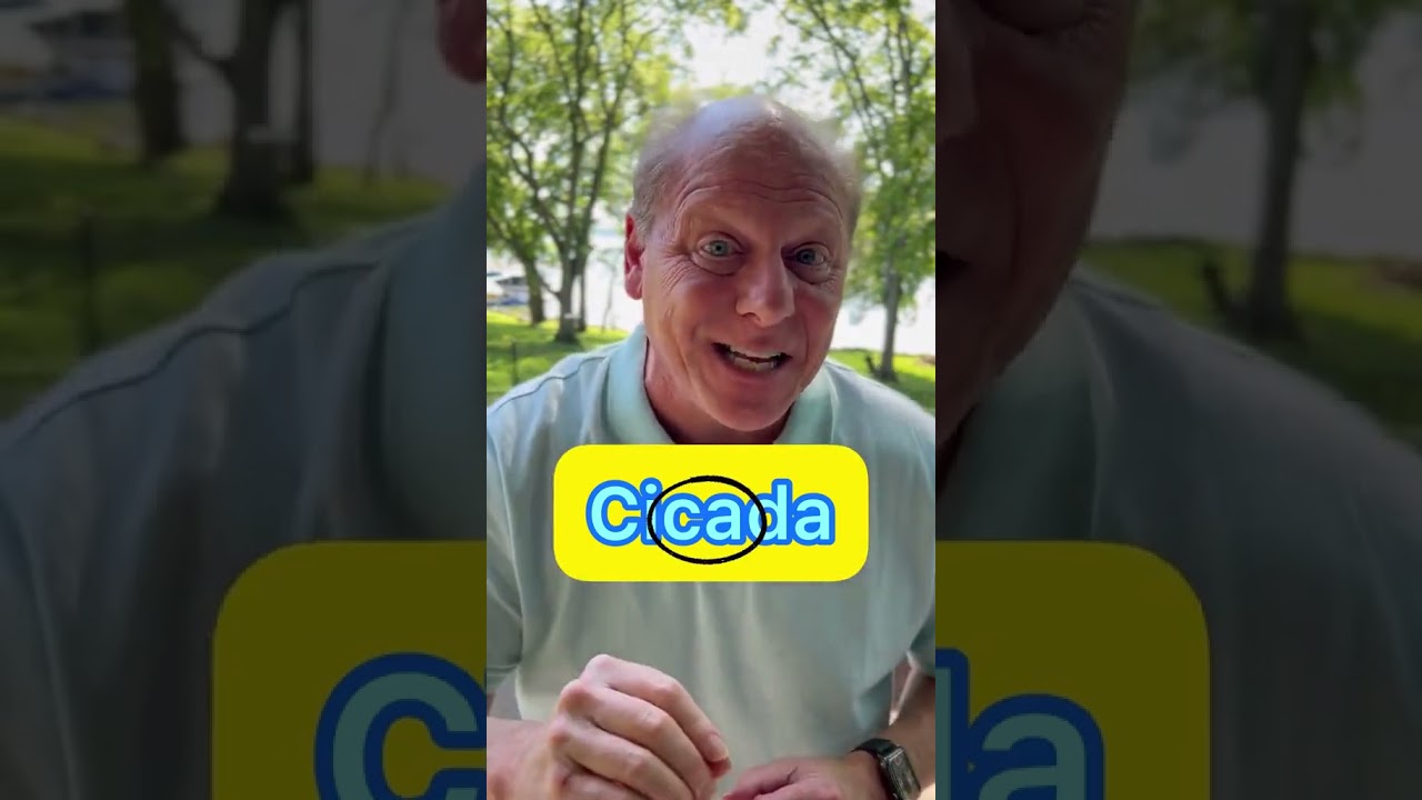 How do you say Cicada?