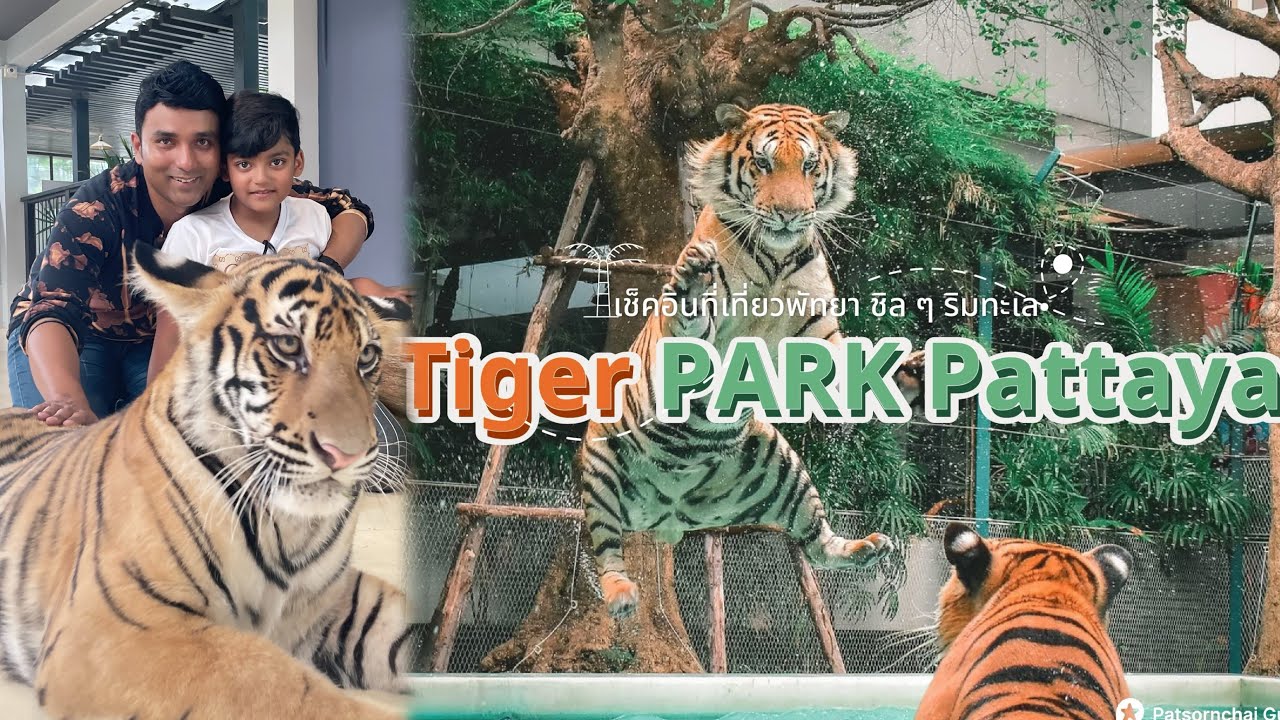 TIGER PARK Pattaya || THAILAND