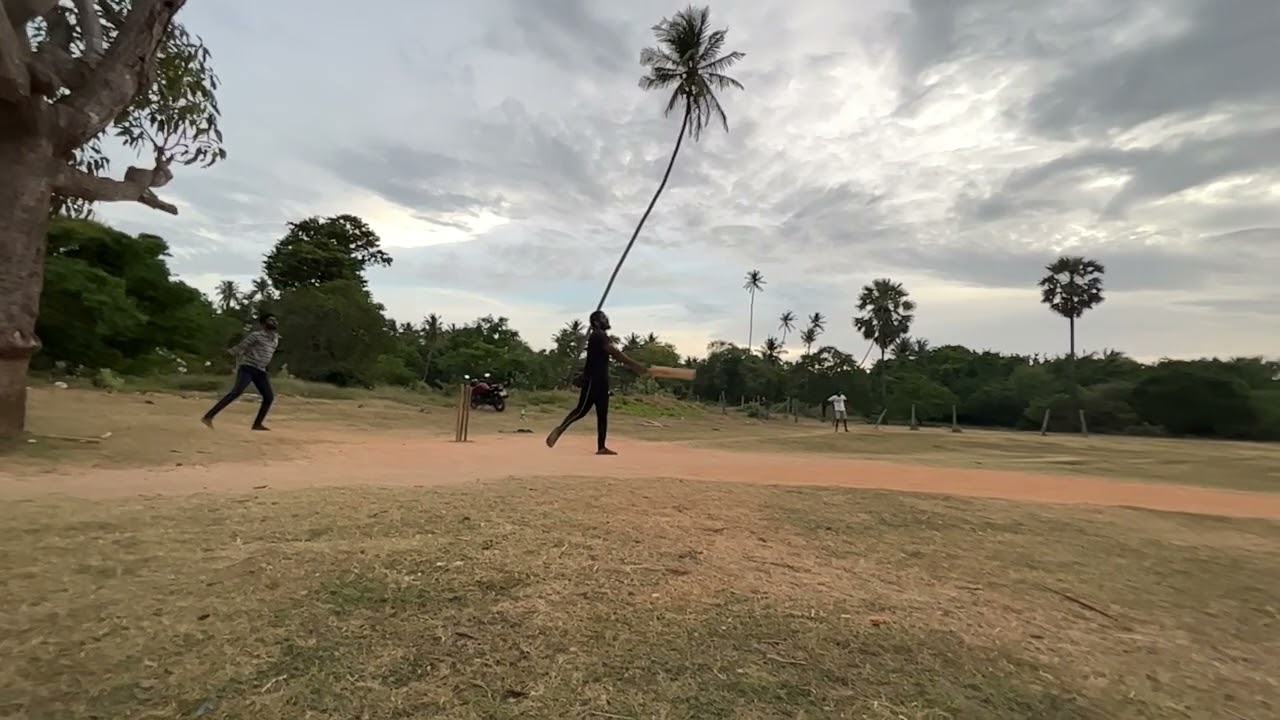 Street Cricket #nomadlife#cricketshorts #streetcricket #viratkohli #icc #bcci #bbl #australiacricket