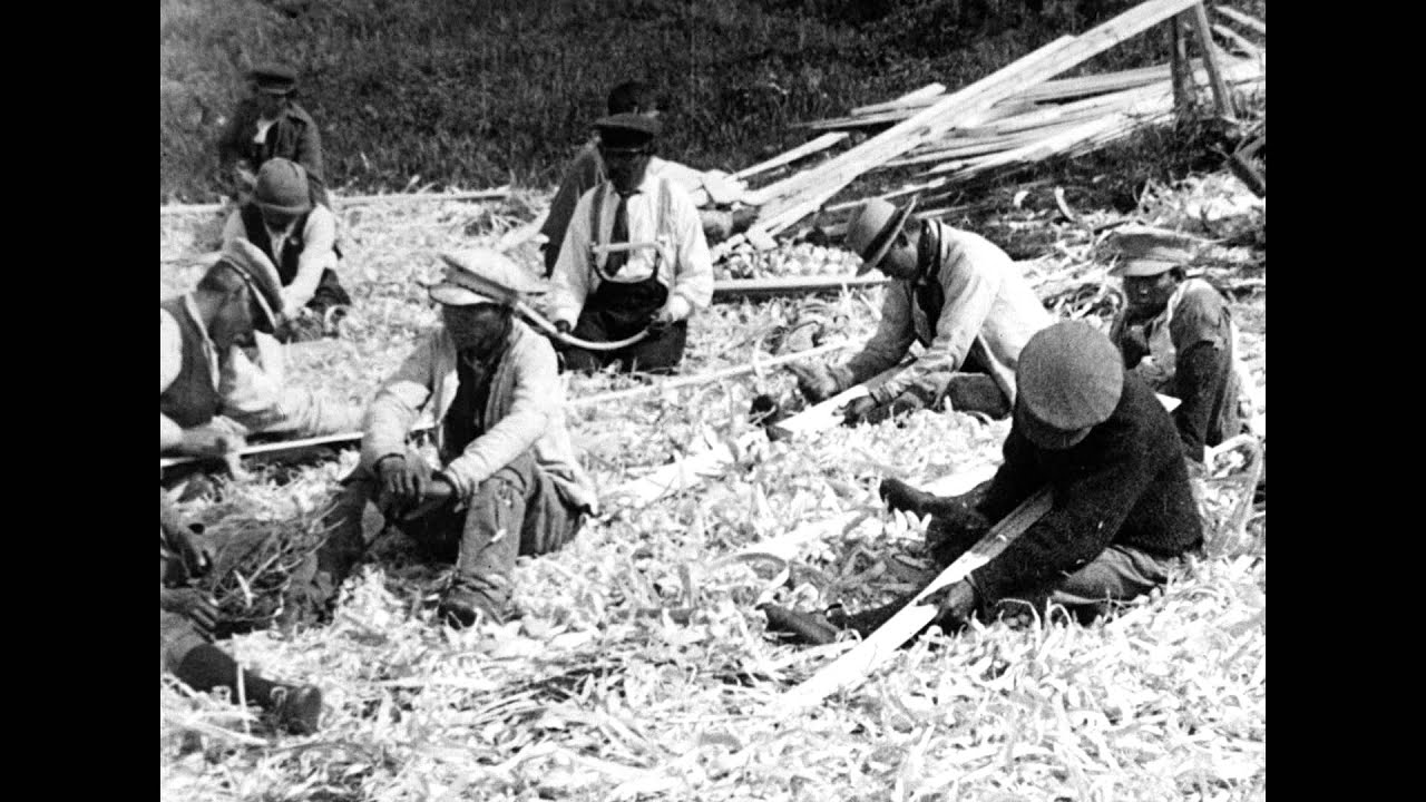 Canadian Sea Fowl, The North Shore = Le Côte-Nord (1922)