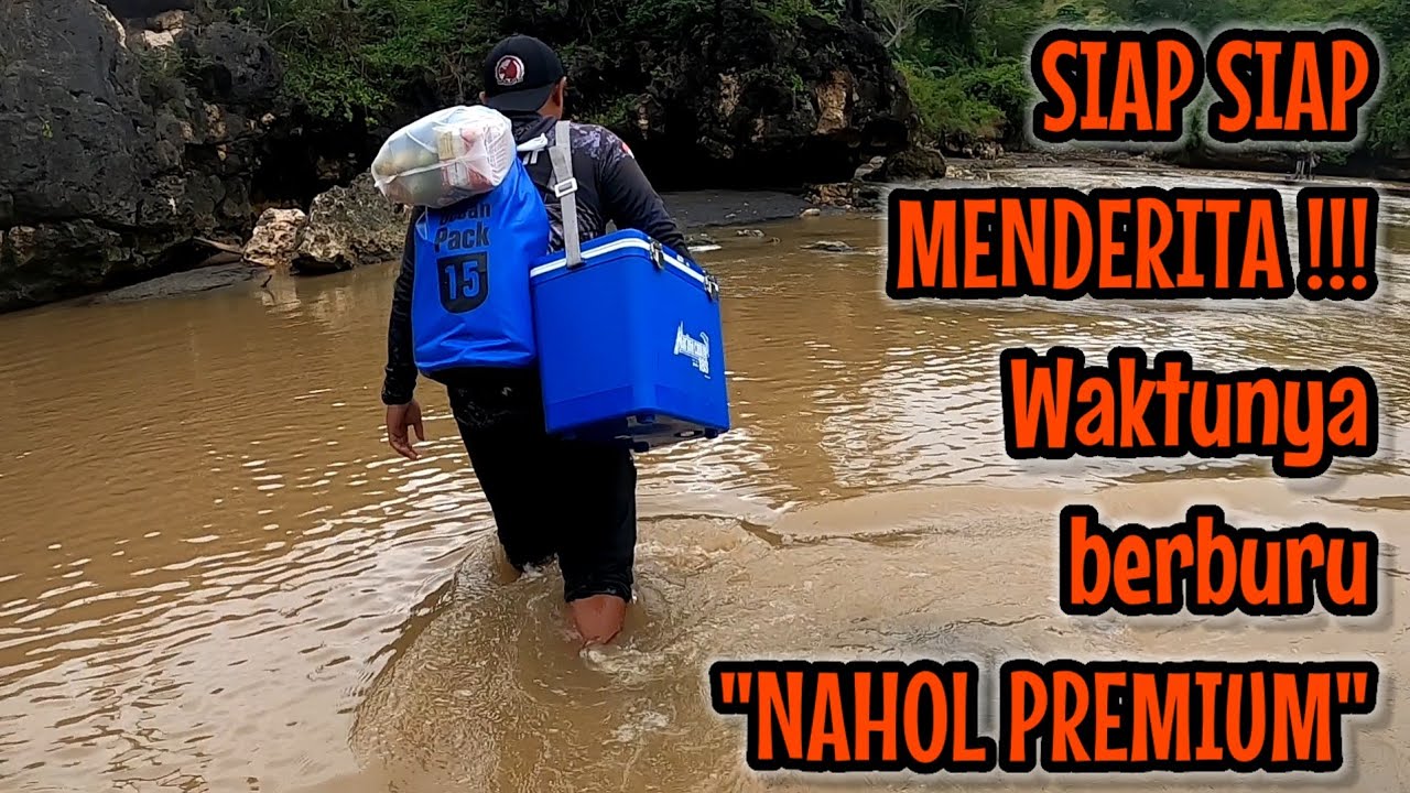 SIAP-SIAP MENDERITA ‼️ MUSIM KAKAP MERAH SUDAH TIBA WAKTUNYA BERBURU