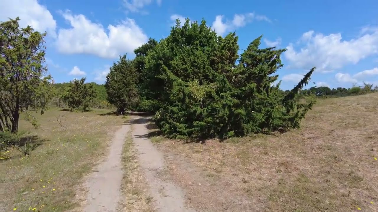 Walking in Mols Bjerge Nationalpark