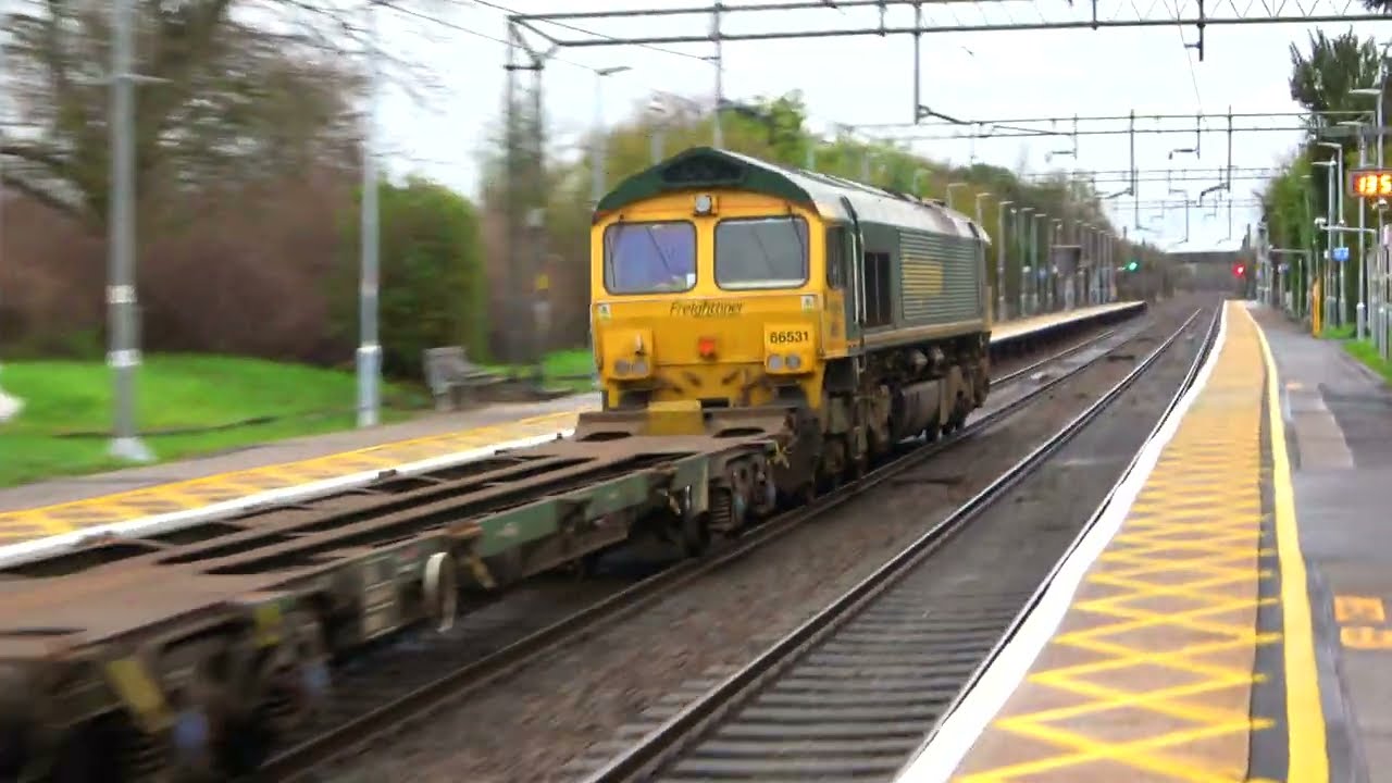 Freightliner Class 66 at Hatfield Peverel | Freightliner 66531
