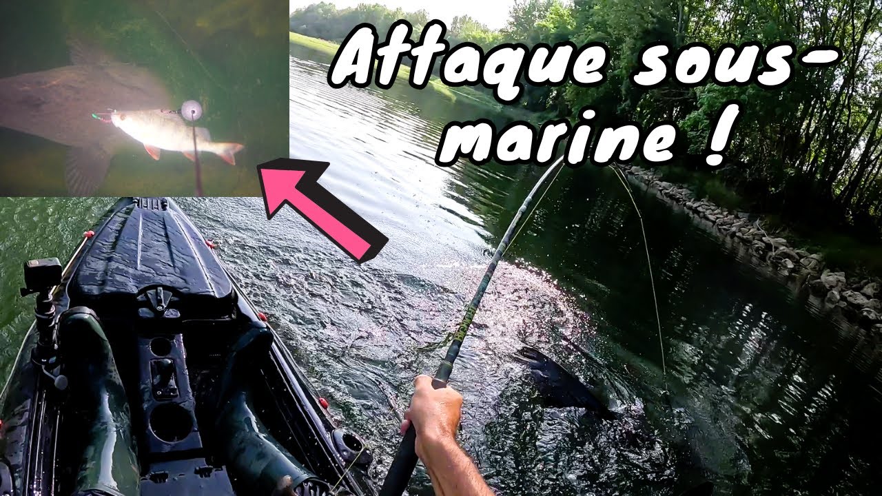 ATTAQUE SOUS-MARINE DE SILURE ET PÊCHE À VUE !