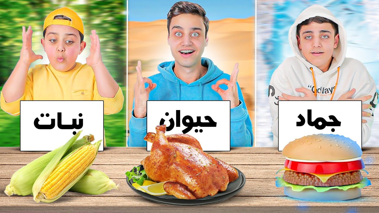 تحدي ( جماد🧊 حيوان🐣 نبات🌱) اكلنا دجاج مقرمش ونحنا مجمدين😱
