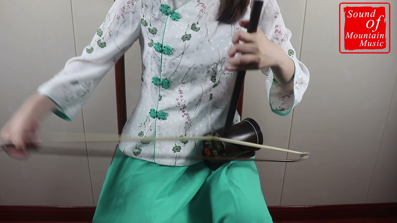 Professional Level Rosewood Gaohu Instrument Chinese Violin Fiddle With Accessories