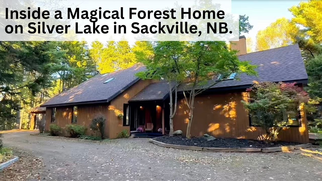 You Won't Believe This Hidden Forest Home!