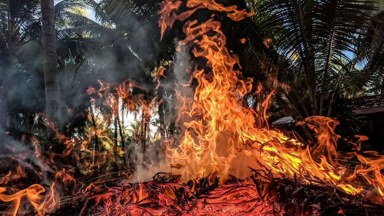 Formation incendie 🧯 manipulation extincteur #s&eacute;curit&eacute; #pr&eacute;vention