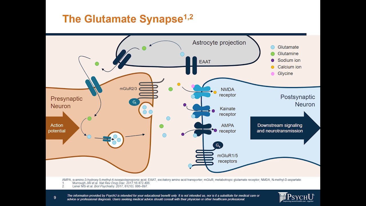 What Is The Role That  Glutamate Plays In Mood Disorders & Schizophrenia?