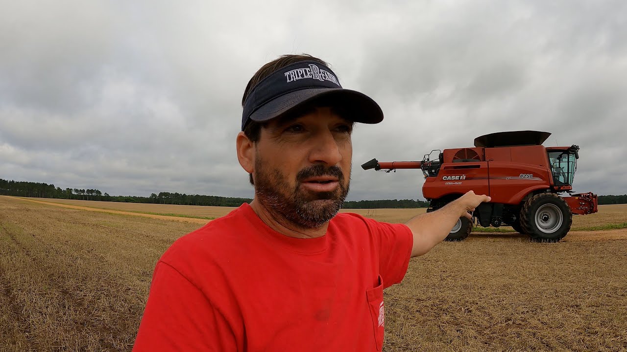 WHEAT HARVEST 2021 IS OVER
