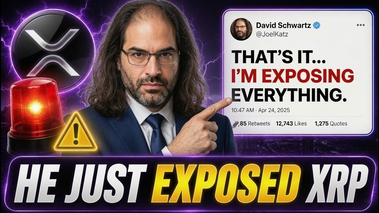 XRP NEWS  TODAY : What Ripple's CTO Just Revealed Changes Everything