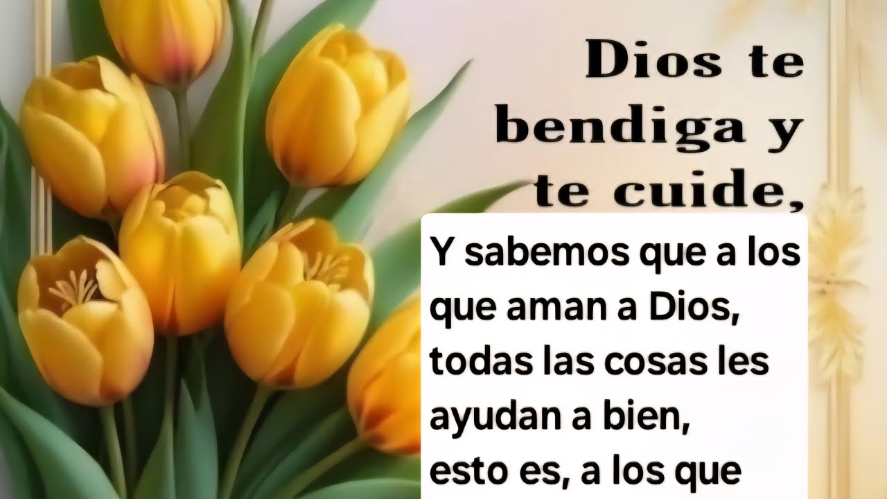 Romanos 8:28_(@rosineidebrasil )