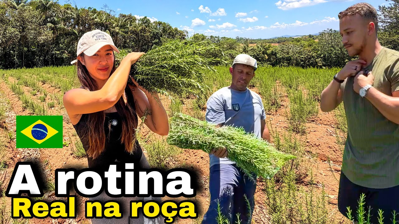 A vida na roça como ela realmente é