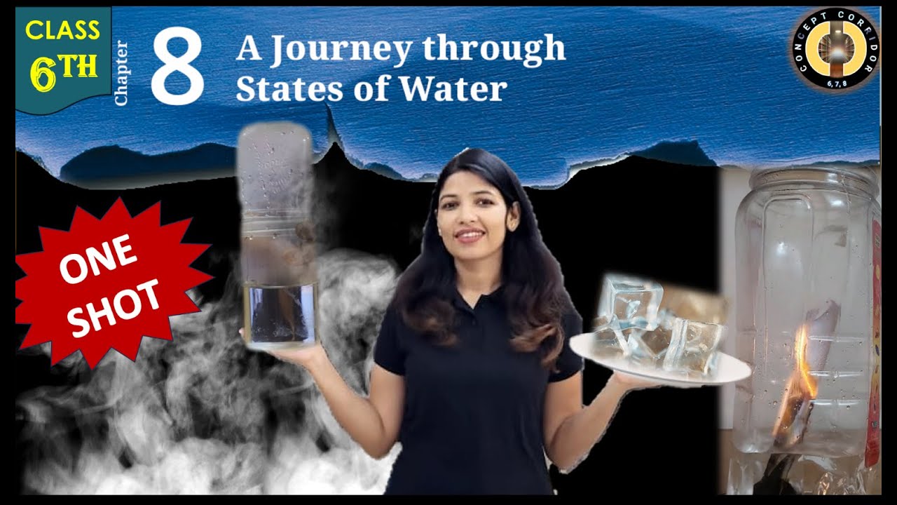 A Journey Through States of Water | Chapter 8 One Shot | Class 6 Science | Curiosity