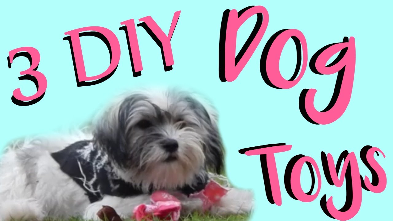 3 DIY Dog Toys