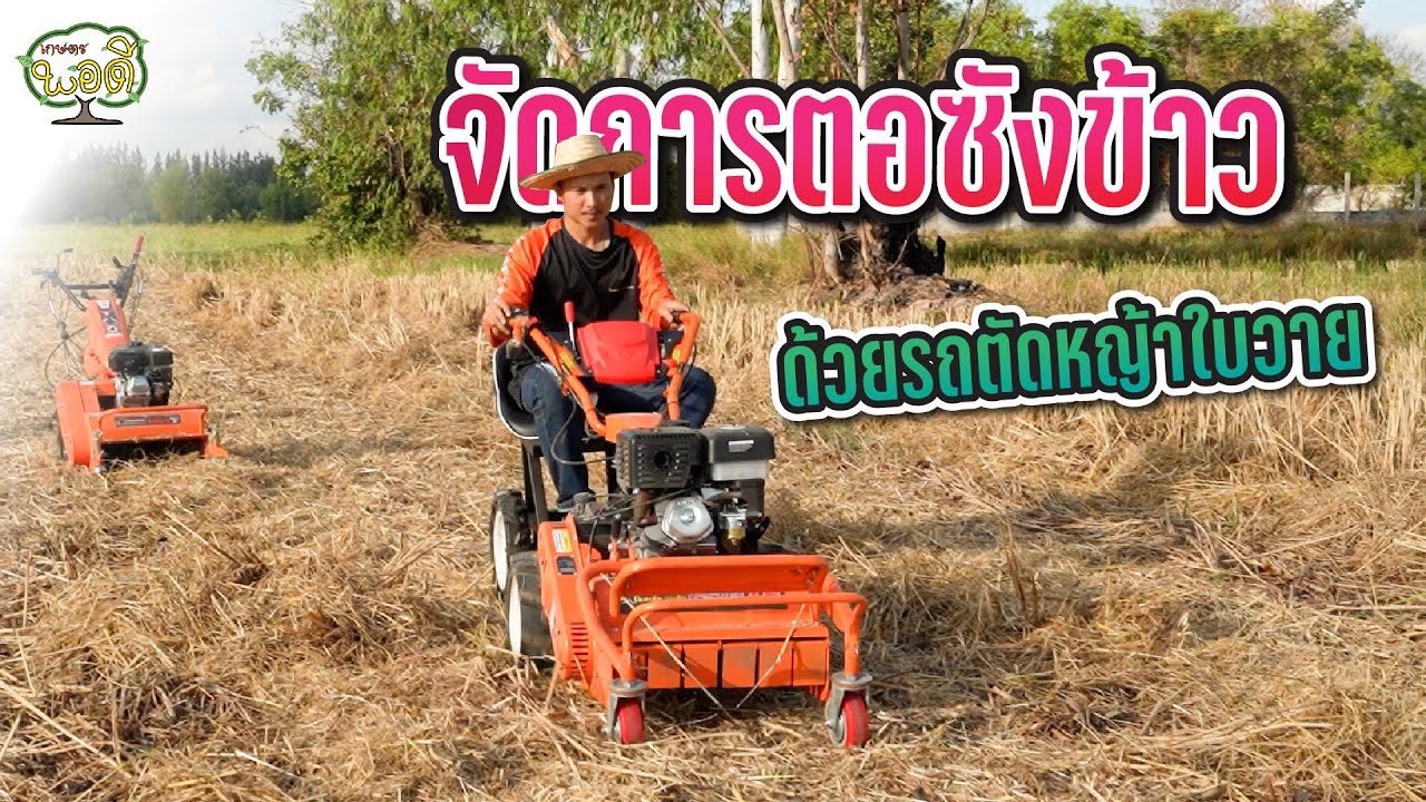 จัดการตอซังข้าว ด้วยรถตัดหญ้าใบวายโกลเด้นฮอร์น ลดมลพิษทางอากาศจากการเผา
