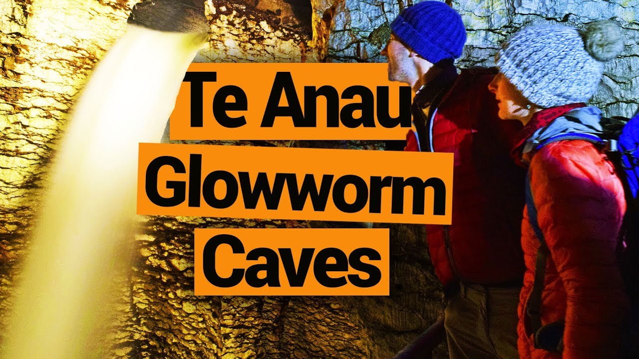 ✨🐛 Te Anau Glowworm Caves –  New Zealand's Biggest Gap Year – Backpacker Guide New Zealand