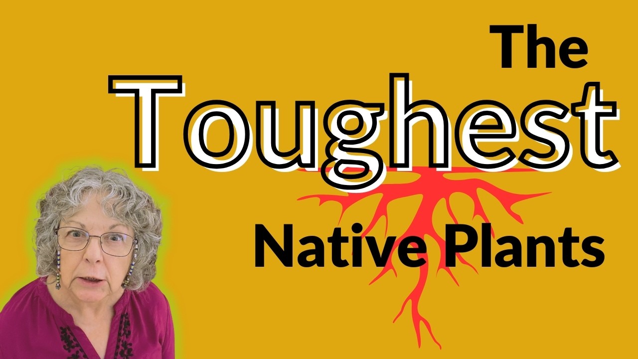 FAQ - Which (Native) Plants Can Survive Extreme Heat & Cold?