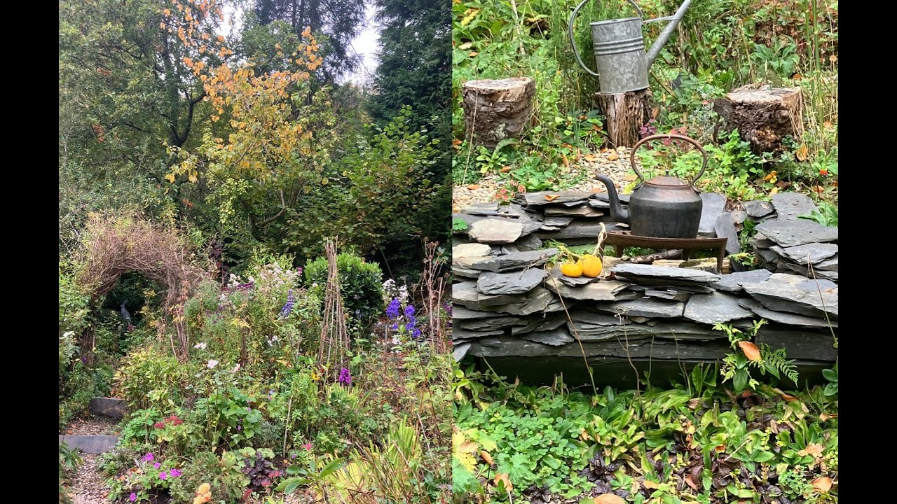Late October in my Wildlife Cottage Garden in Wales