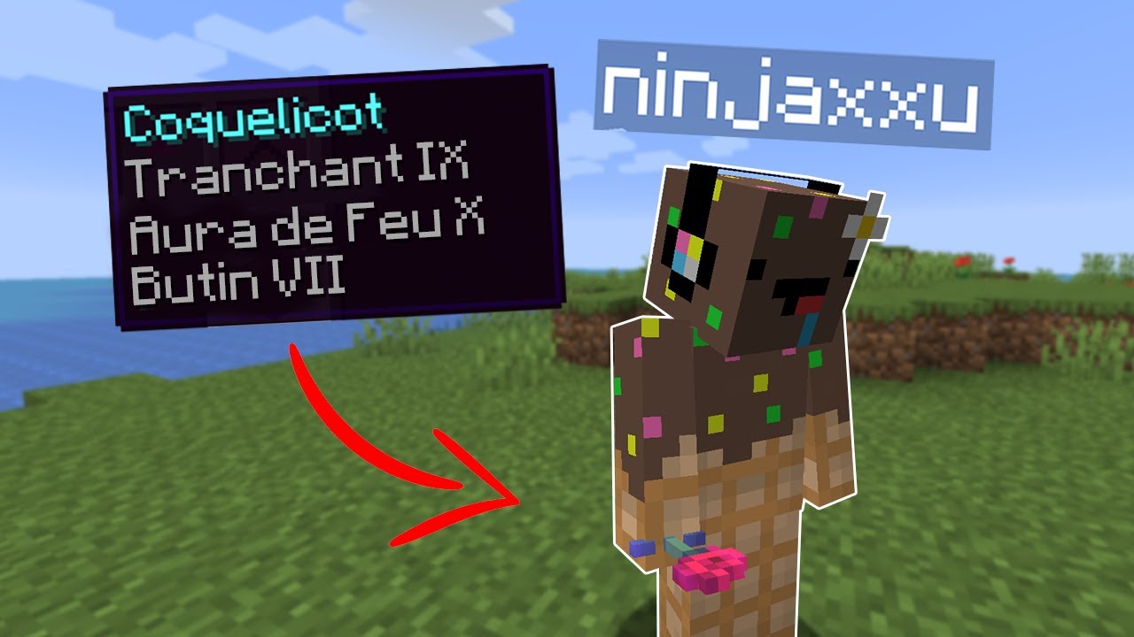 Minecraft mais quand je marche mon stuff s'enchante..