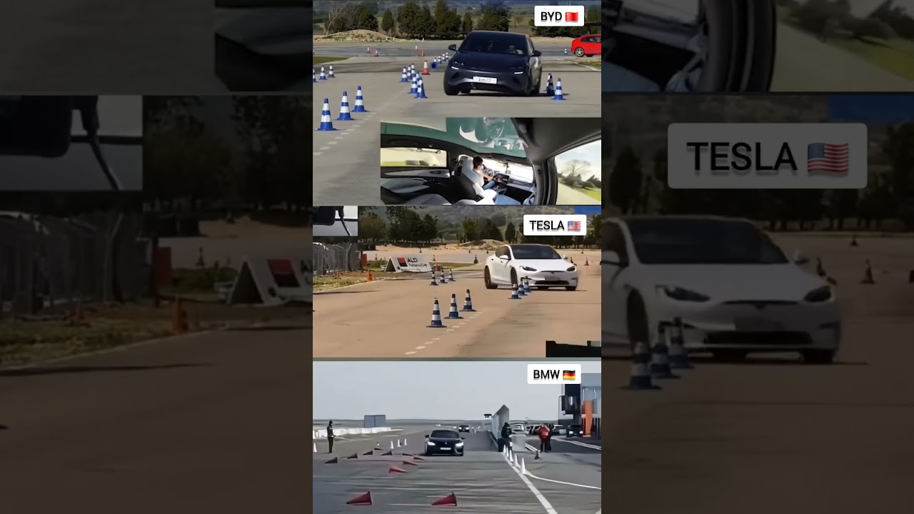 BYD 2025 vs Tesla 2025 vs BMW 2025 | Ultimate Moose Test