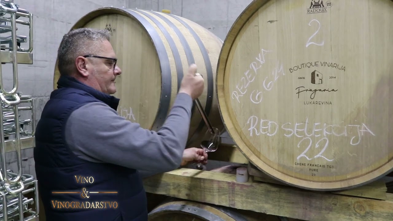 Kako nastaju najbolja vina vinarije Fragaria