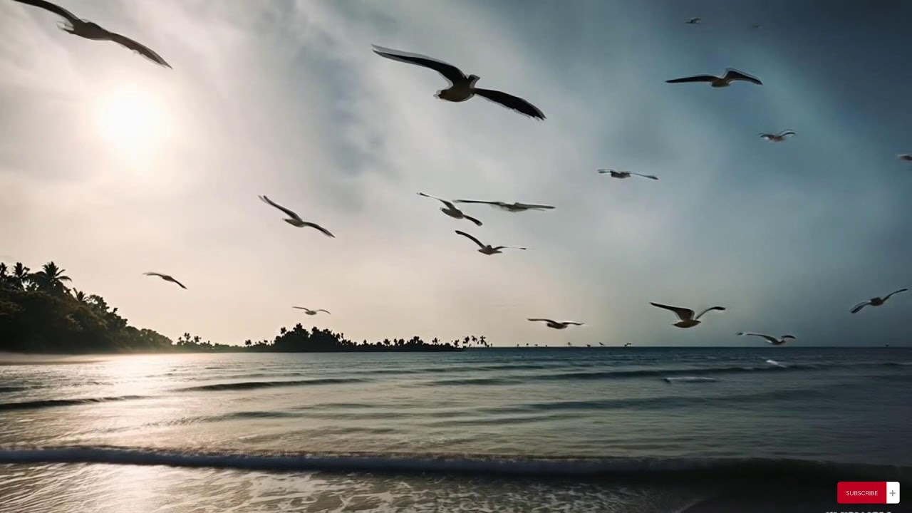 Reggae Music Mix 2025  😍  Best Reggae Love Beach Songs ,Top Reggae Special Relax Love 88