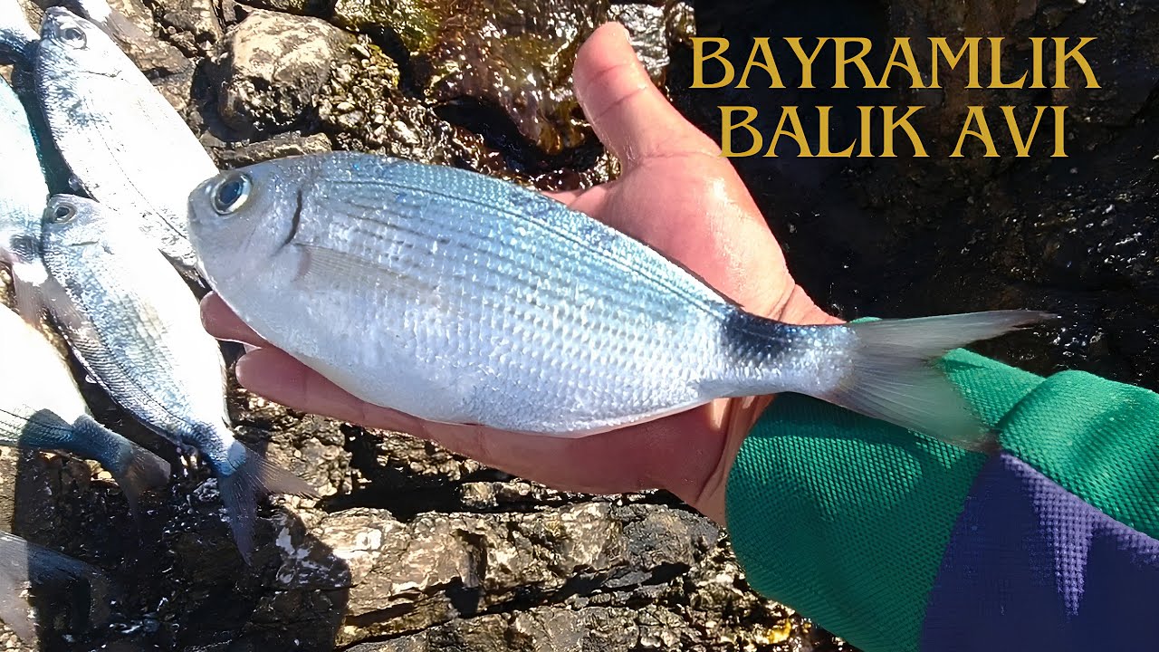 MELANUR BALIK AVI_NASIL YAPILIR? YEM VE TAKIM BİLGİSİ_RAMAZAN AYININ SON BALIK AVINI YAPTIK