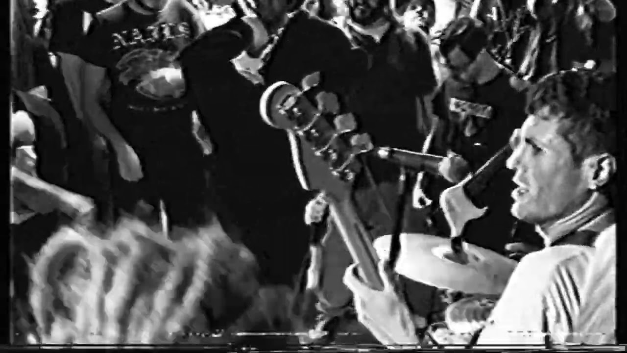 WORLD PEACE - Live From Dirty Dungarees (Columbus, OH) (08/19/2023)