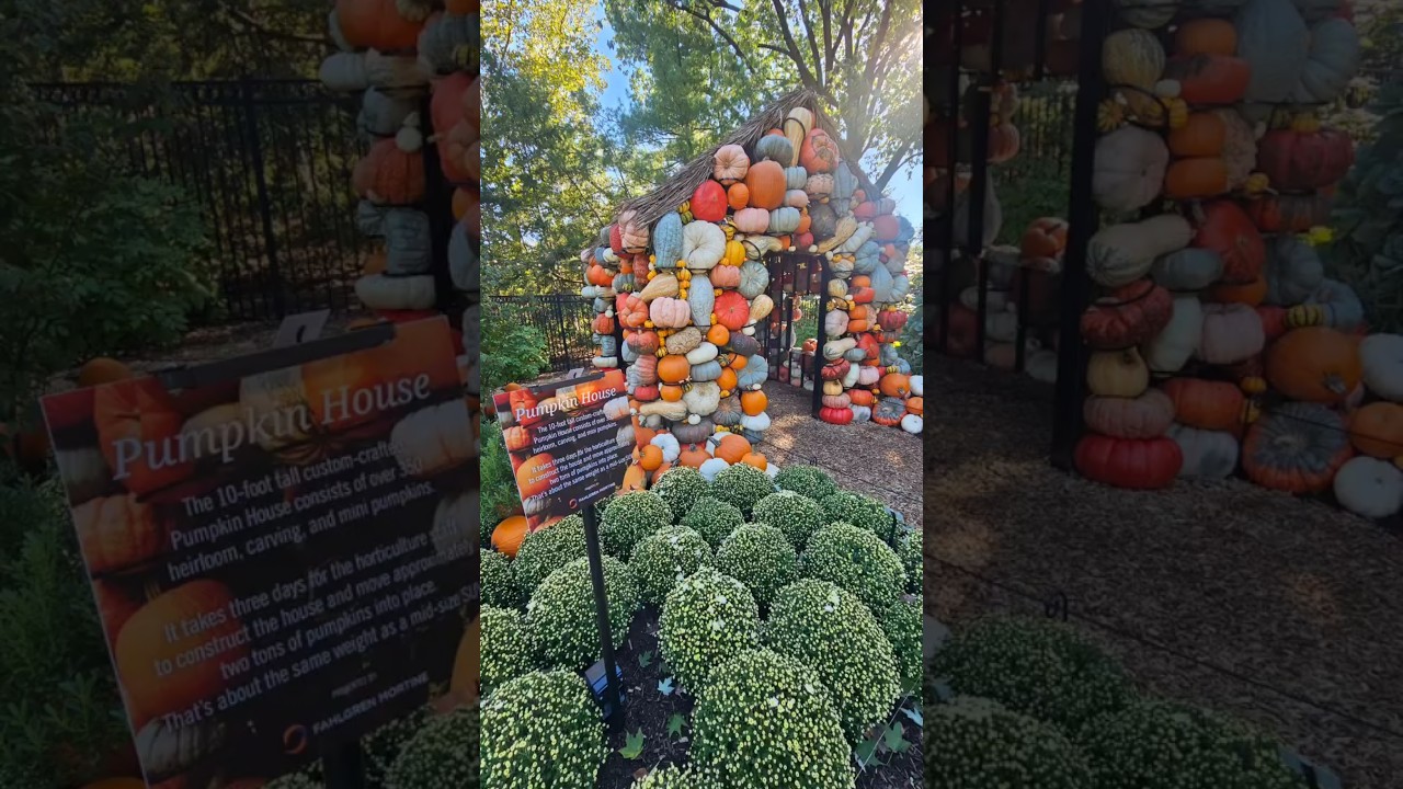 Cute Pumpkin House at Franklin Park 