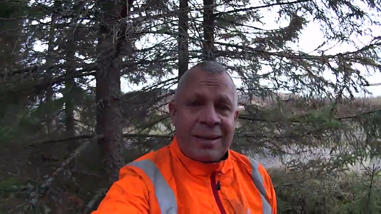 Metsolan Metsäkoulu 176 - Näkemäraivaus vs. perinteinen ennakkoraivaus