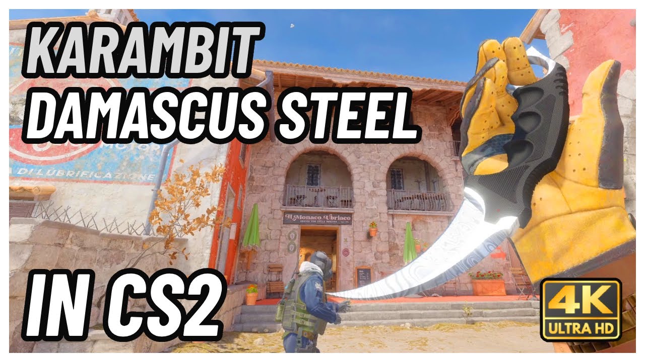 ★ CS2 Karambit Damascus Steel | CS2 Knife In-Game Showcase [4K]