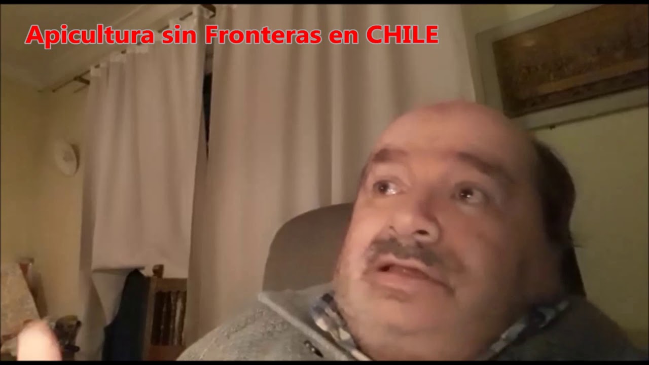 Metodo de Prevencion y Control Natural de LOQUE AMERICANA (manejo natural de colmenas)