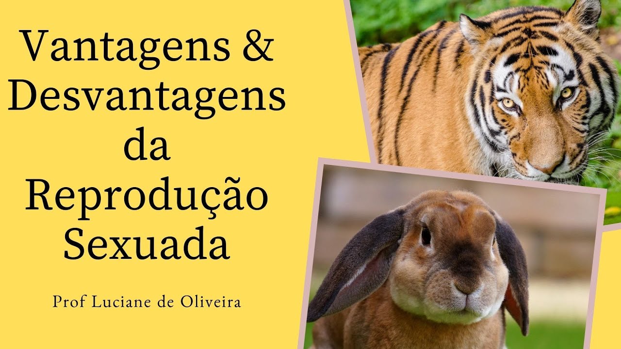 REPRODU&Ccedil;&Atilde;O SEXUADA - VANTAGENS X DESVANTAGENS | REPRODUCTION - GENETIC VARIABILITY