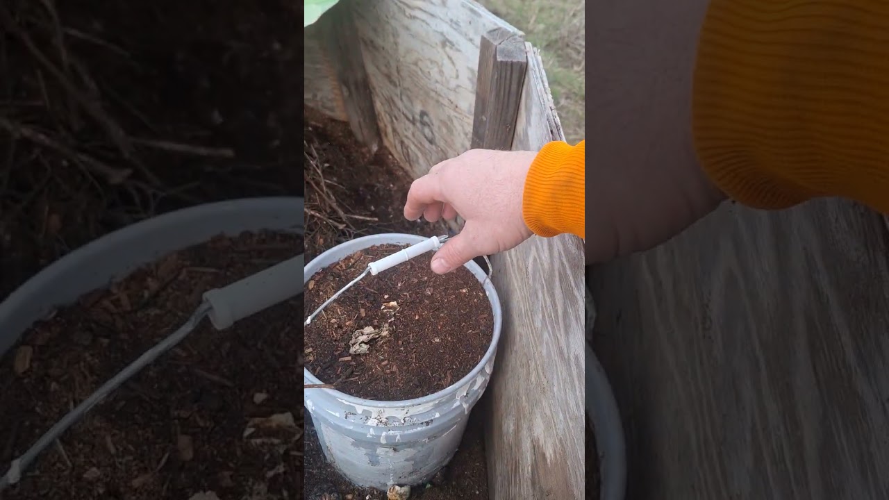 Empty Compost Toilet Process DIY