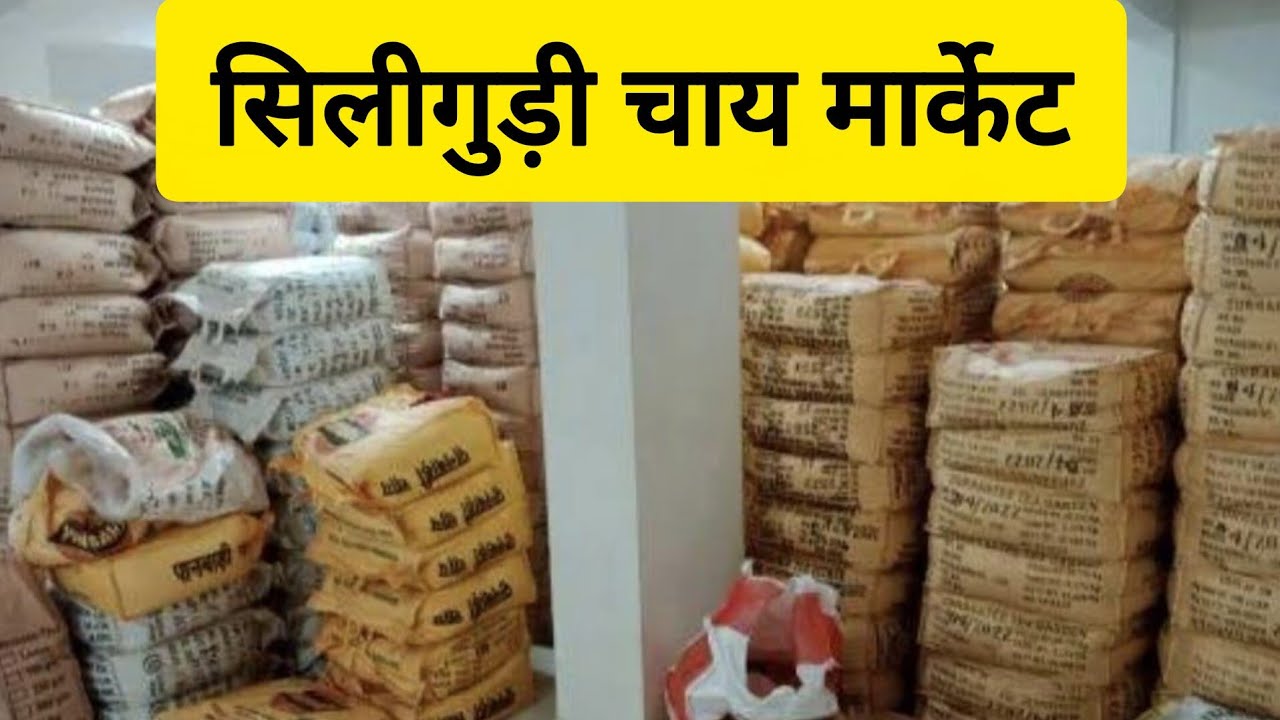 Siliguri tea wholesalel market सिलिगुड़ी टी होलसेल मार्केट Siliguri chai factory @FRESHTEA-y7y 