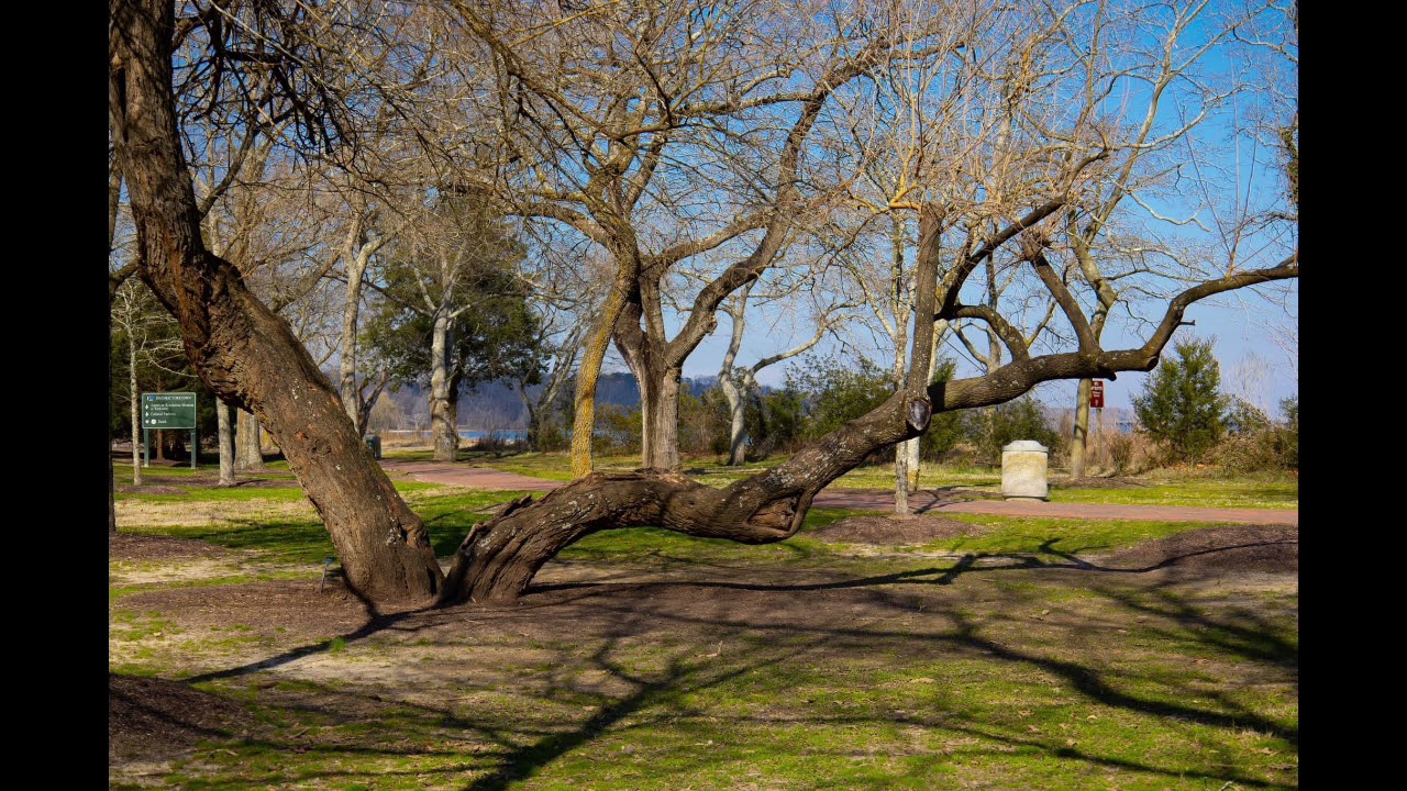 Intro VIdeo for Fall 2021