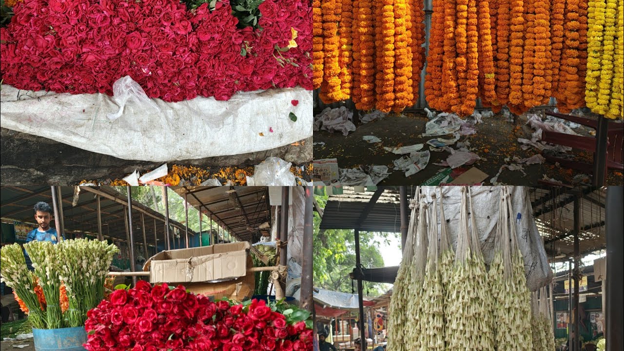 ঢাকার সবচেয়ে বড় পাইকারি ফুলের বাজার ।। The largest  wholesale flowers market in Dhaka city