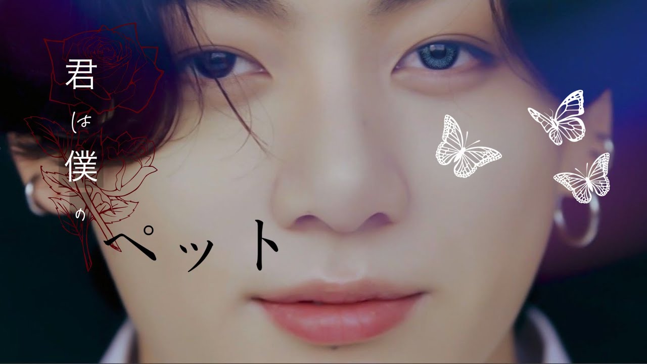 bts 妄想 グク 🐰 君は僕のペット