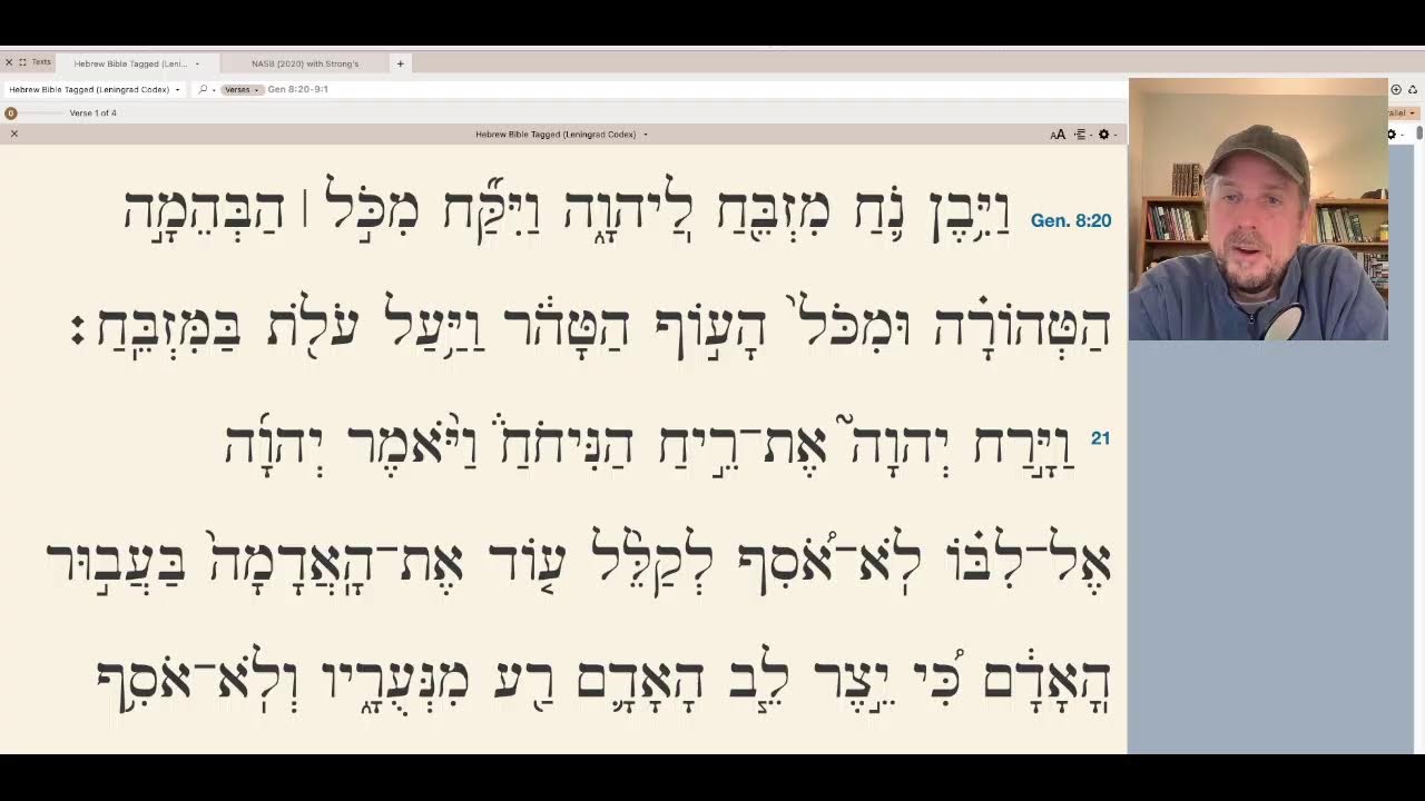 TelosTorah  Live Stream ~ Parashat Noach