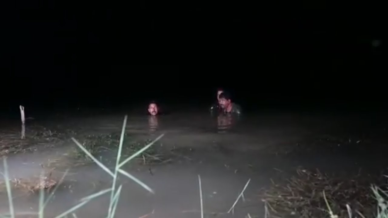 রাতের বেলায় নদী থেকে গলদা ধরে চিংড়ি হান্ডি রান্না করে খাওয়া | River fishing & cooking video