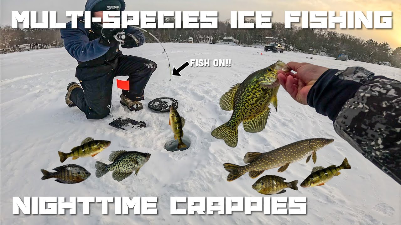 Multi Species Ice Fishing the Evening Bite in Northern Wisconsin-BONUS Night Crappies (1-30-2026)