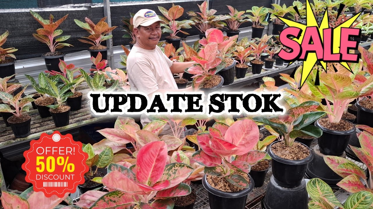 DISKON NGABUBURIT !! UPDATE STOK KUALITAS MANTEP !!